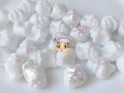 Намистини Мушлі White Alabaster AB 15×12 мм (1 шт)