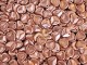 Намистини Пелюстки Crystal Vintage Copper 7×8 мм (1 шт) Намистини Пелюстки Crystal Vintage Copper 7×8 мм (1 шт)